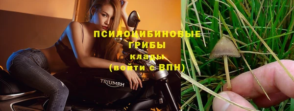 стаф Алексеевка