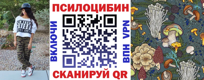 сколько стоит Белгород Галлюциногенные грибы прущие грибы